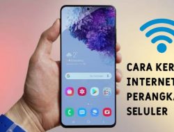 Cara Kerja Internet pada Perangkat Seluler