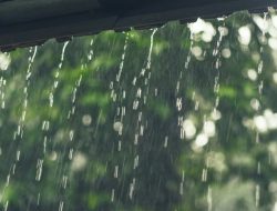 Fakta Seputar Hujan Yang Perlu Kalian Ketahui