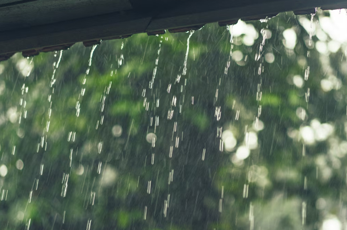 Fakta Seputar Hujan Yang Perlu Kalian Ketahui (Freepik)