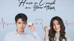 Nonton Have a Crush on You Sub Indo, Drama China Berlatar Rumah Sakit