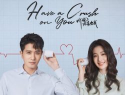 Nonton Have a Crush on You Sub Indo, Drama China Berlatar Rumah Sakit