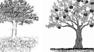 Arti Menggambar Pohon Saat Psikotes