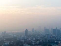 Kandungan Oksigen Normal di Udara dan Pentingnya bagi Kehidupan